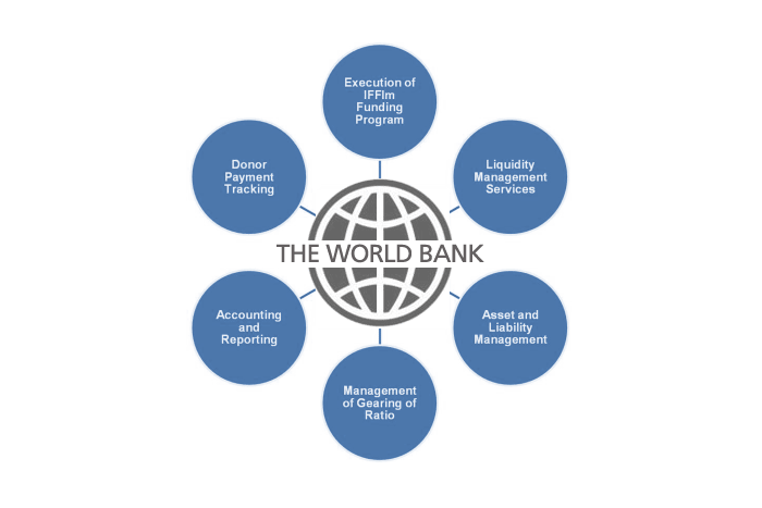 Treasury management by the World Bank